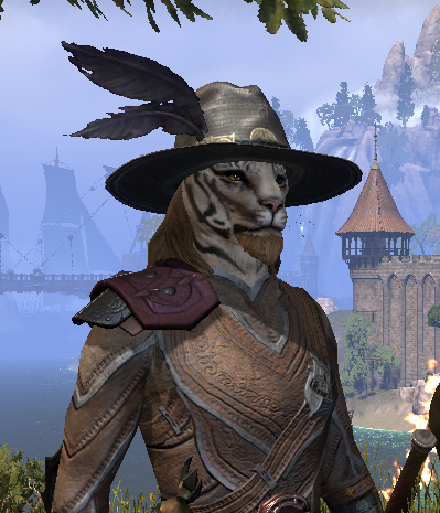 A side portrait of a Elder Scrolls Online Kah-jeet player character. The character has a brimmed hat with two feathers pinned to the side and is dressed in leather armor.